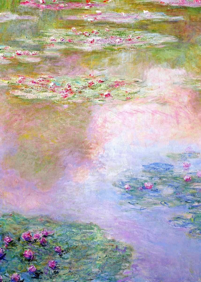water lilies